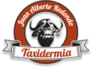 Taxidermia Trofeos de Caza Mayor y Safari | Alberto Redondo Villar